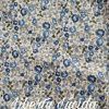 liberty-lucida