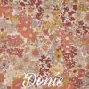 denis