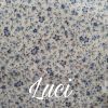 luci