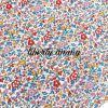liberty-army