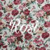 rosi